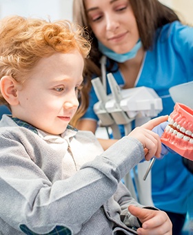 a dentist showing a child a model of teeth
