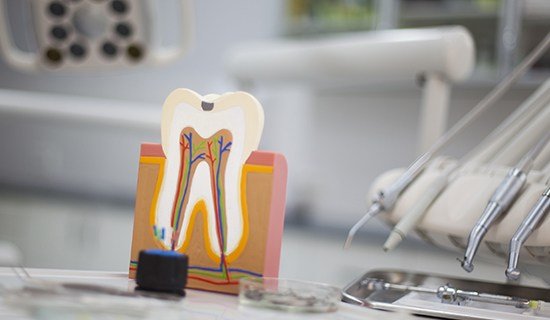 Model of the inside of the tooth