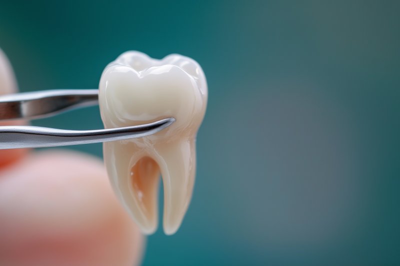an extracted tooth